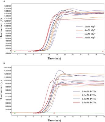 Clinical validation of visual LAMP and qLAMP assays for the rapid detection of Toxoplasma gondii